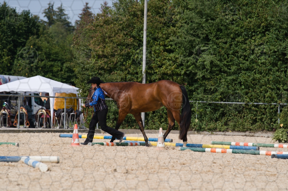 s_batch_A9_00091.jpg